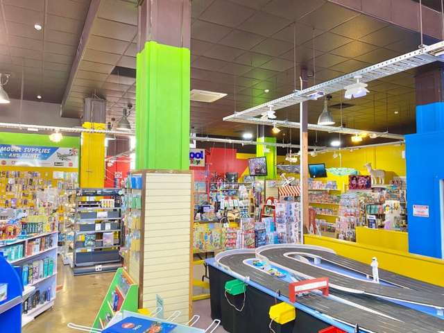 105 Dickens Street Napier South_4