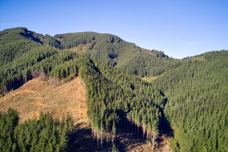 Crail Bay Kenepuru Sound_21