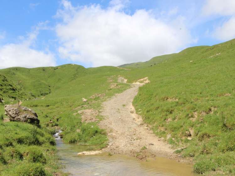 934 Coonoor Road Pahiatua_3