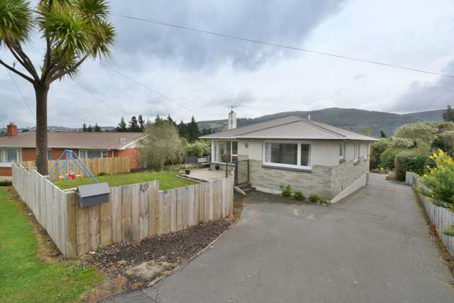 223 Pine Hill Road Dalmore_4