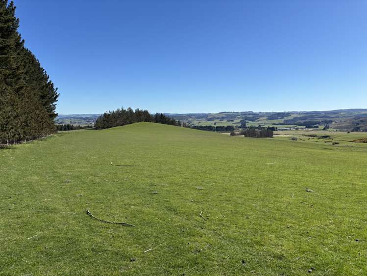 Waihola Highway Waihola_7