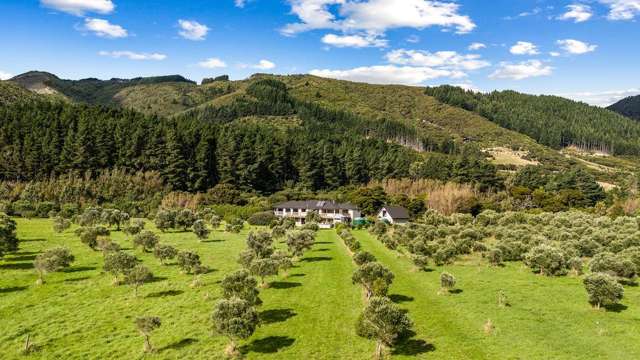 Lifestyle Gem – Endless Possibilities Await
