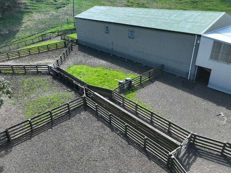 2829 Puketitiri Road Patoka_16