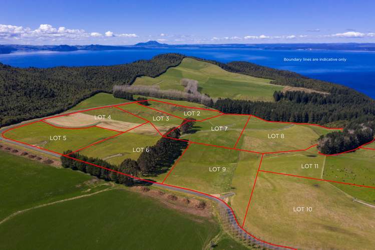 18 Te Hapua Bay Road Kuratau_0