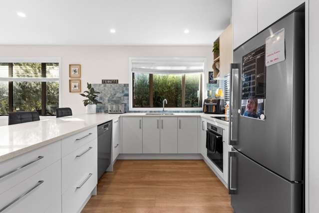41A Te Awa Avenue Te Awa_2