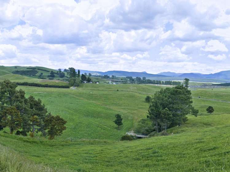 45 Matapan Road Atiamuri_2