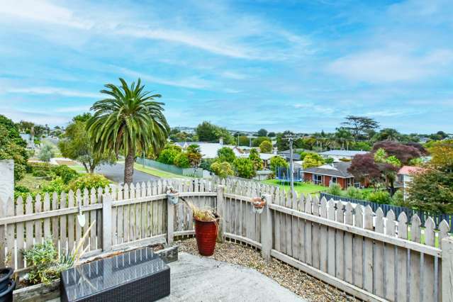 53a Prospect Terrace Pukekohe_1