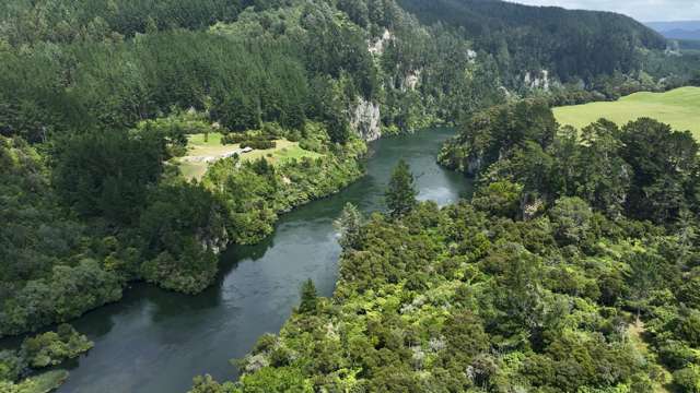 A natural playground by the Waikato River