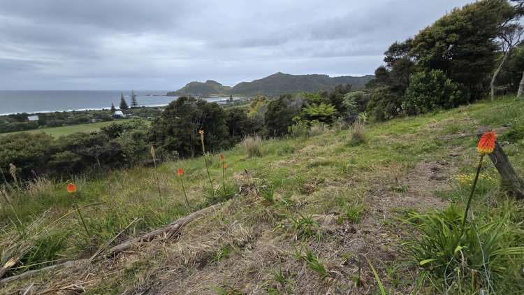 540b Medland Road Great Barrier Island_19