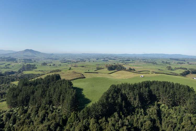 272 Ngutunui Road Puketotara_17