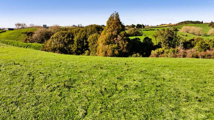 Lot 2,3,4 York Road, Lepperton New Plymouth_9