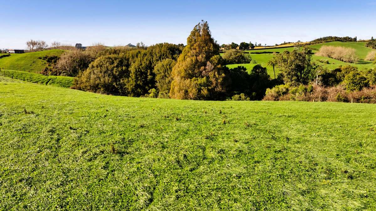 Lot 2,3,4 York Road, Lepperton_5