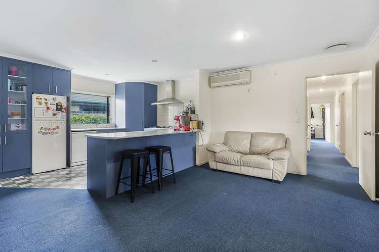 2 Finchley Place Hamilton East_2