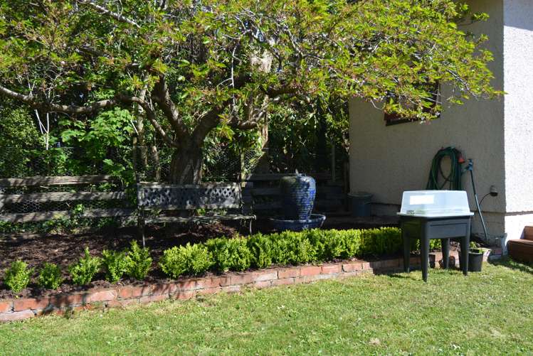 58 Morton Street Georgetown_18