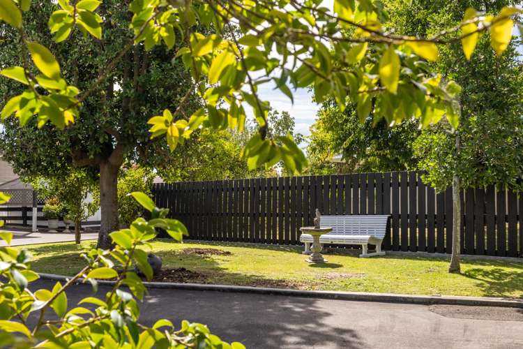 42 Chambers Street Havelock North_18