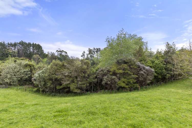 61 Gelling Road Ararimu_5