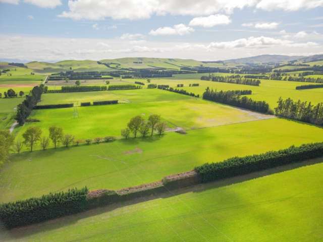 291 Karaka Road Waikari_1