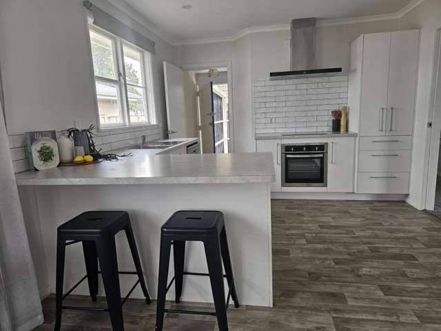 24 Winchester Street Levin_1