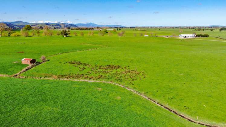 81 Station Road Puriri_11