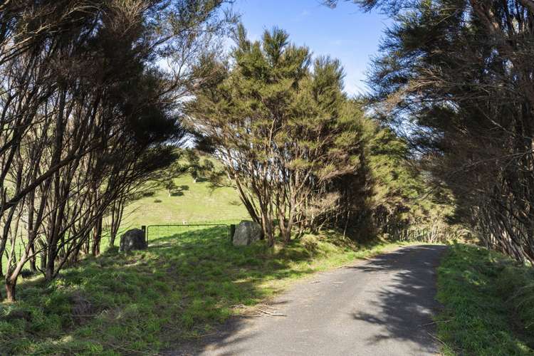 309C Wentworth Valley Road Whangamata_14