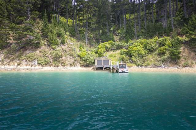 Lots 1 and 2 Ahitarakihi Bay Arapawa Island_3