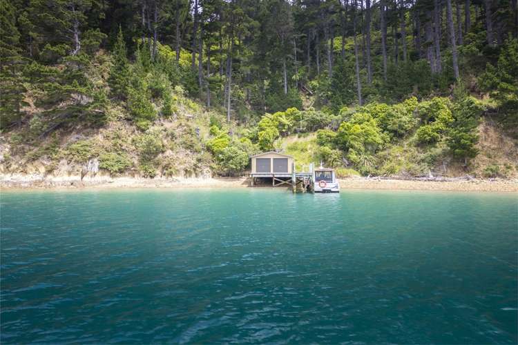 Lots 1 &amp; 2 0 Ahitarakihi Bay_4