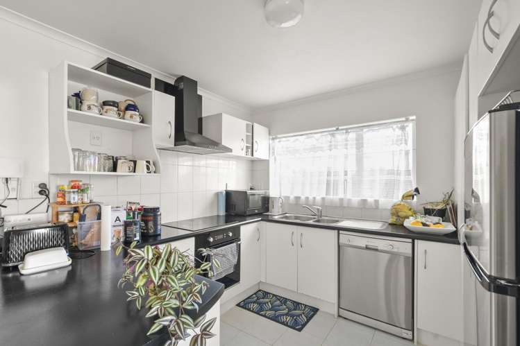 24 Pitt Avenue Clendon Park_1