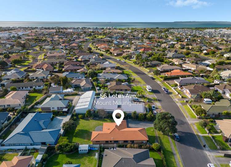 56 Lotus Avenue Mount Maunganui_18