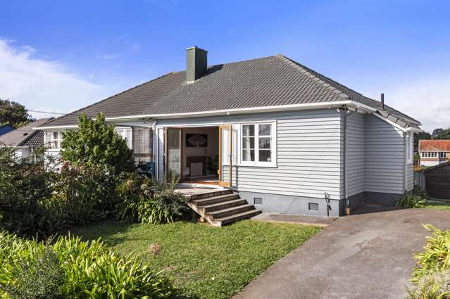 31 Scout Avenue Mount Roskill_1