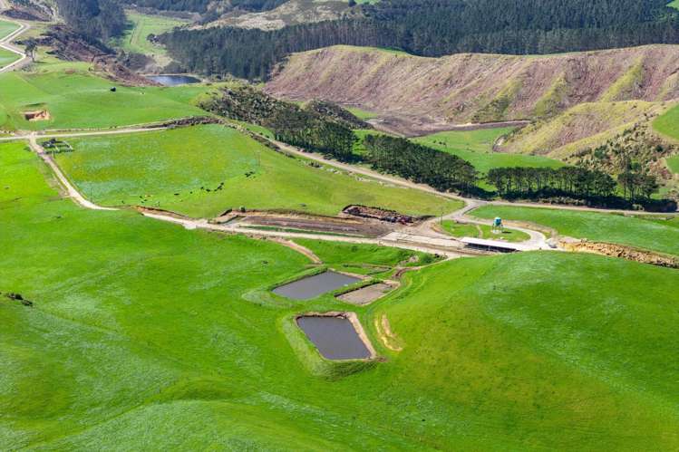 780 Te Maire Road Te Kopuru_17