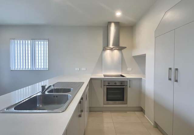 45 Tribute Loop Takanini_3