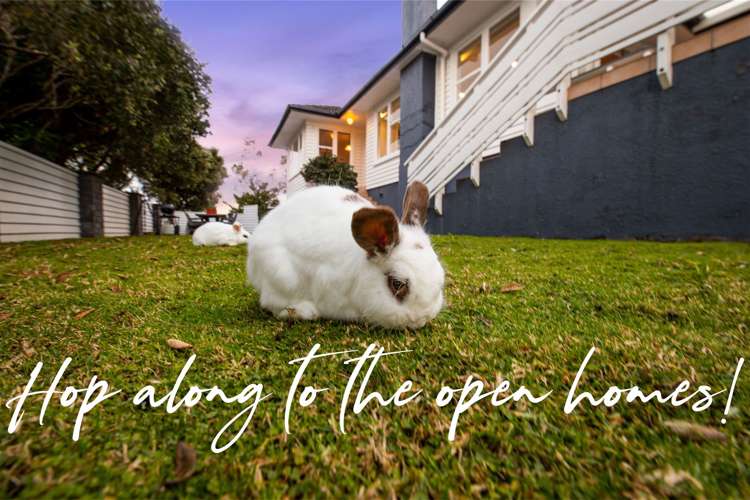 1/46 Monarch Avenue Hillcrest_31