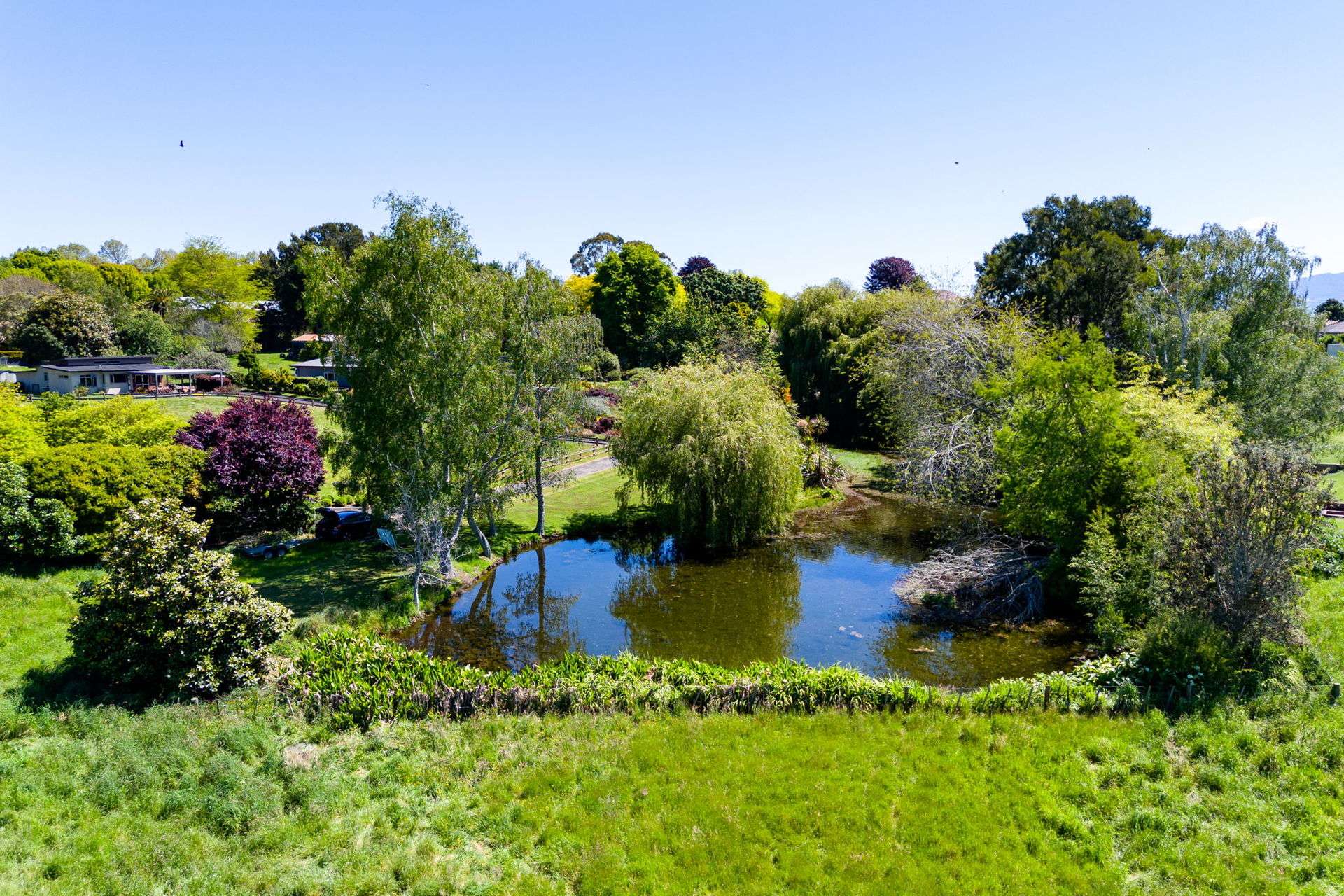 7/75 St Leger Road Te Awamutu_0