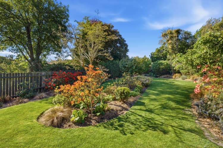 35A Shalamar Drive Cashmere_28