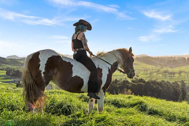 Lot 2 Whareora Road Whareora_3