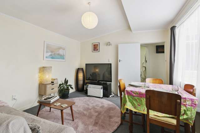 66 Elizabeth Street Mount Victoria_3