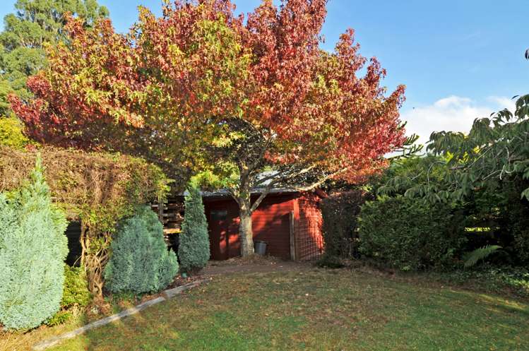 13 Hereweka Street Portobello_16