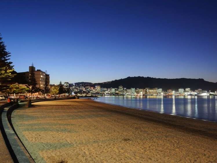 2/226 Oriental Parade Oriental Bay_14