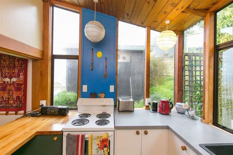 4 Hoggard Street Vogeltown_9