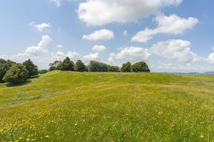 1461 Poihipi Road Oruanui_8