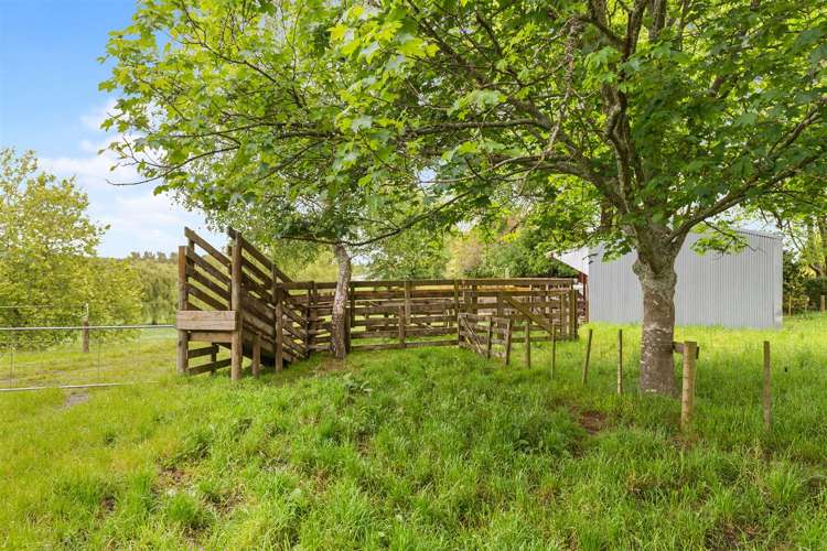 1986 State Highway 26 Morrinsville_20