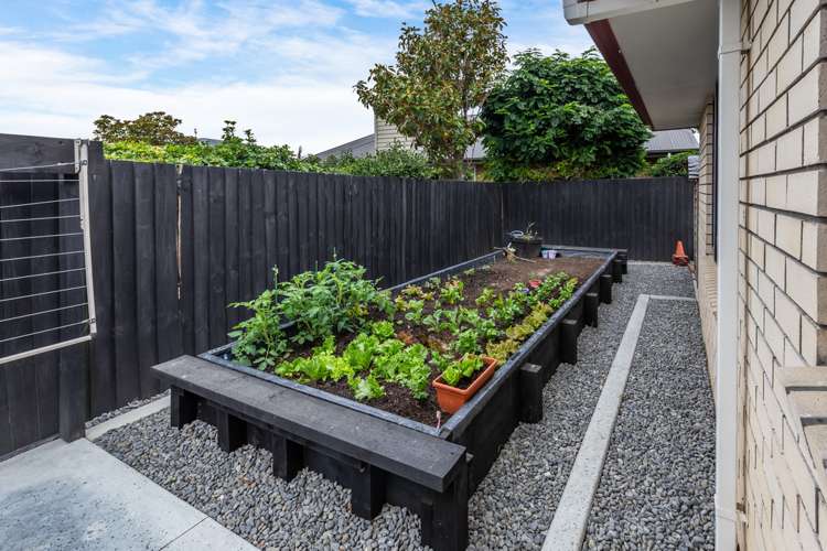 11 Cressida Close Rolleston_14