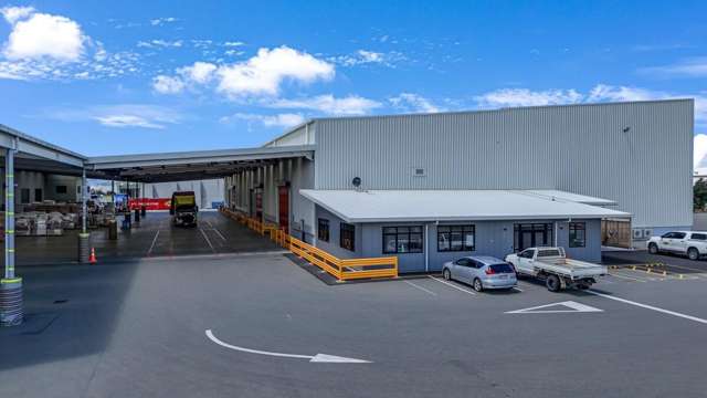 45 Produce Place Hornby_4