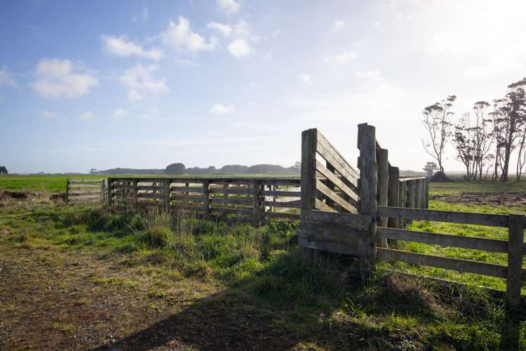 327 Paranui Road Foxton_4