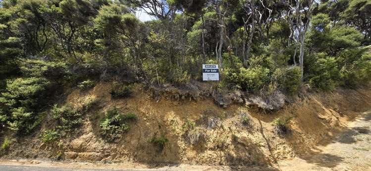 174 Shoal Bay Road Great Barrier Island (Tryphena)_7