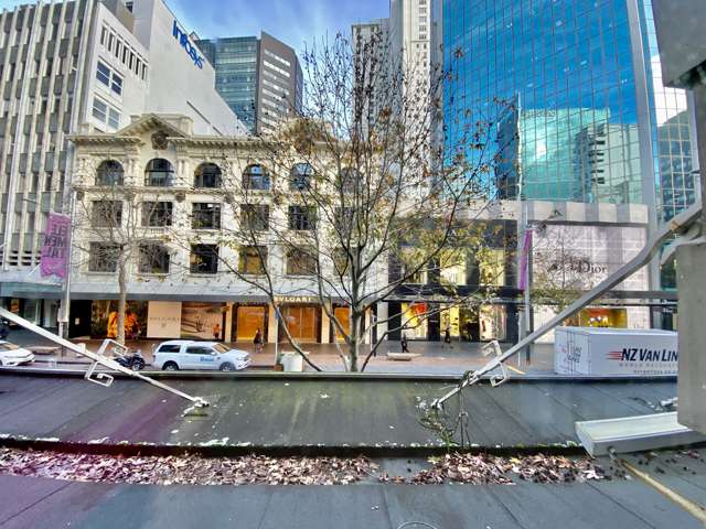 44 Queen Street Auckland Central_2