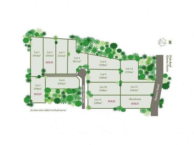 27 Burness Road Jervoistown_0