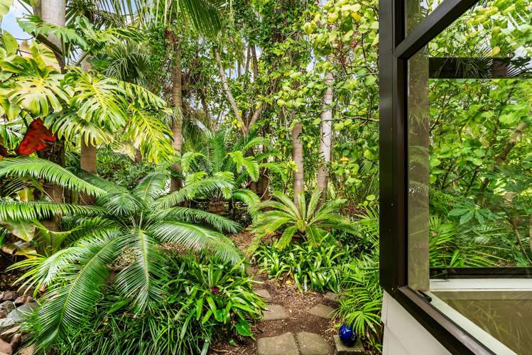 4/20 Hayden Street Freemans Bay_15