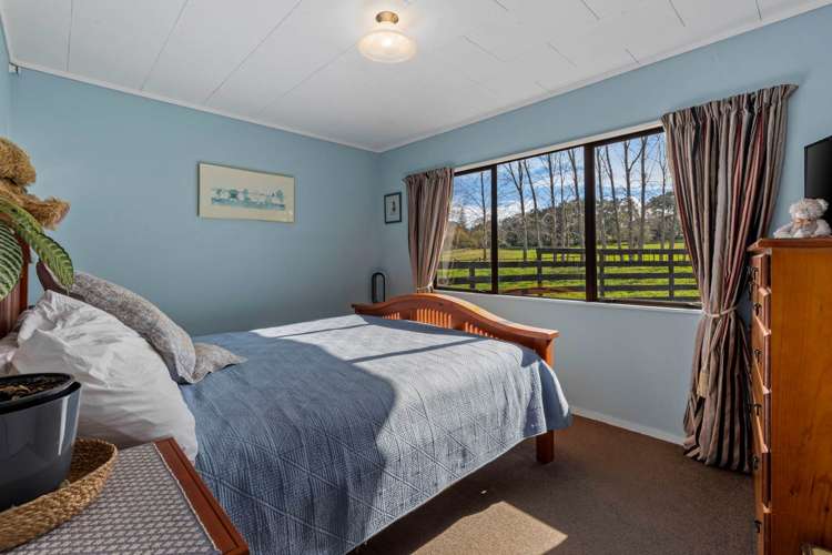 10 Lascelles Drive Dairy Flat_16