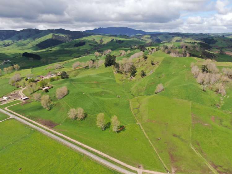 126 Tauraroa Valley Road Otorohanga_25